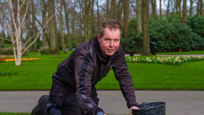 Het geheim van de bollenlasagne: adviezen van Keukenhof-tuinman Michael van der Voet