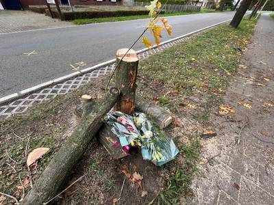 Schrik nog voelbaar na fatale botsing tegen boom tussen Liessel en Neerkant