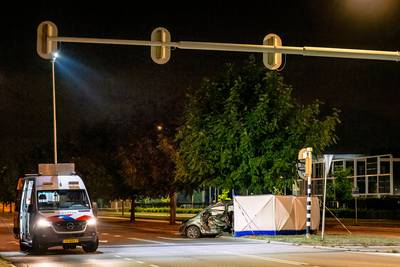 Automobilist (27) volgens OM schuldig aan dodelijk ongeval Oud Gastel, verdacht van roekeloos rijden