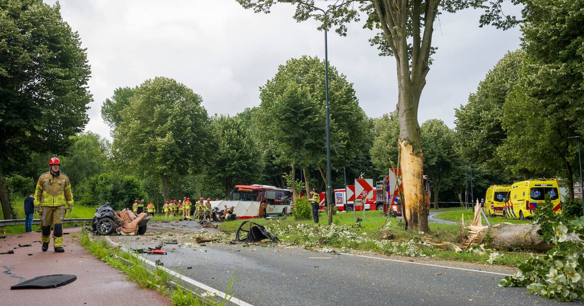 Man uit Oosterhout overleden bij zwaar ongeval: auto botst tegen boom, bestuurder komt onder lijnbus - BD.nl.