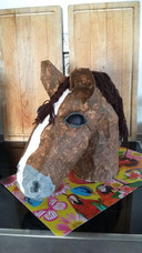 Deze surprise hebben Diede en Jody uit Barlo gemaakt voor een paardenfan.