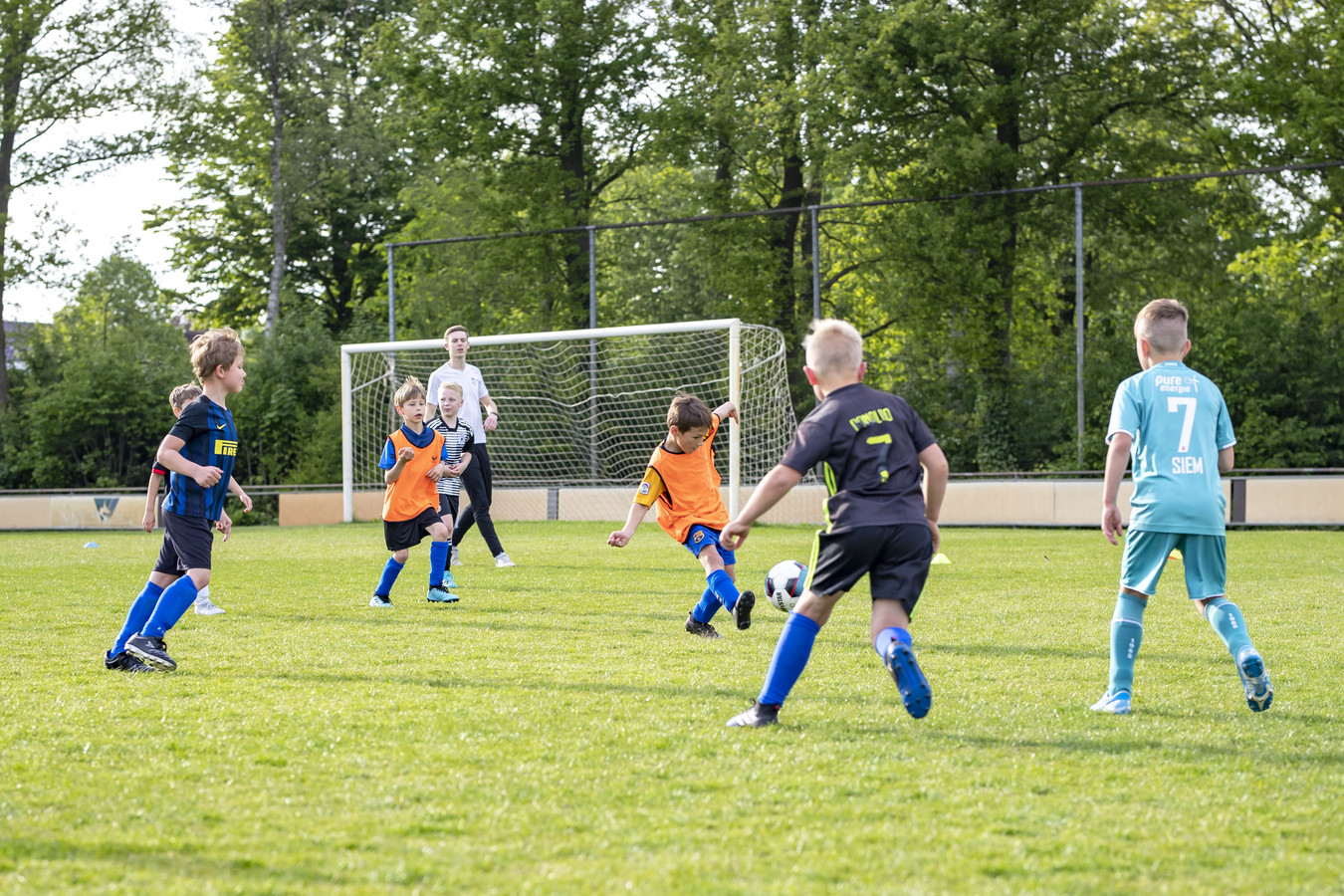 BWO groeit, vooral bij de jongste jeugd.
