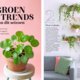 Deze week in Margriet 42