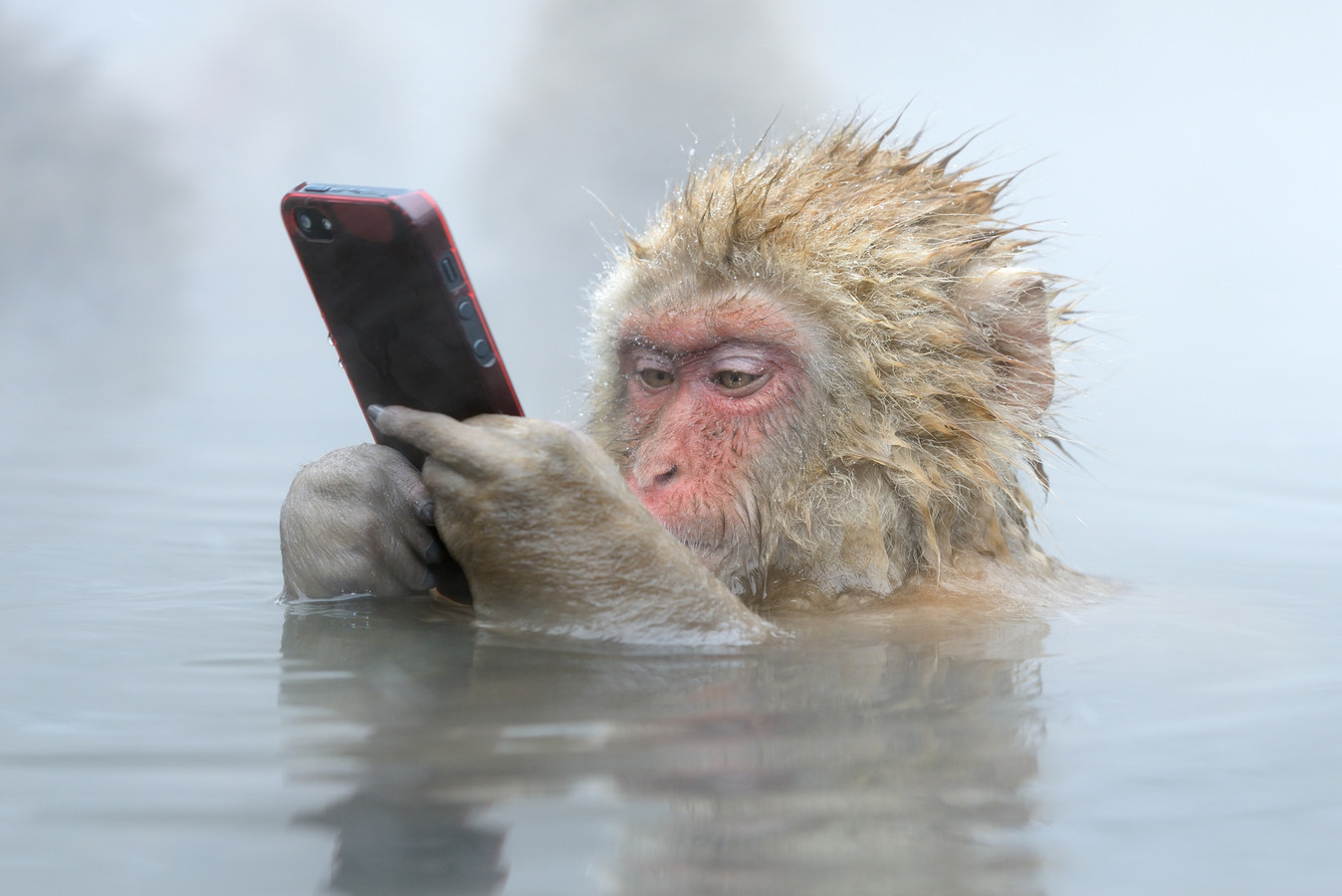 Een foto van Marsel van Oosten