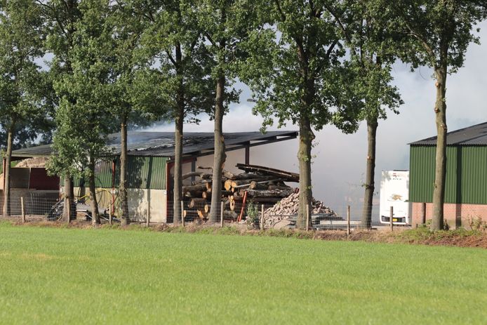 Stapels boomstammen vatte vlam