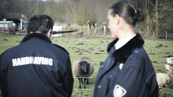 De gemeente Capelle aan den IJssel heeft al twee agenten die dierenleed opsporen. Foto:anp
