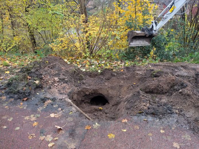 Het graafwerk van de bever heeft voor flink wat schade gezorgd.
