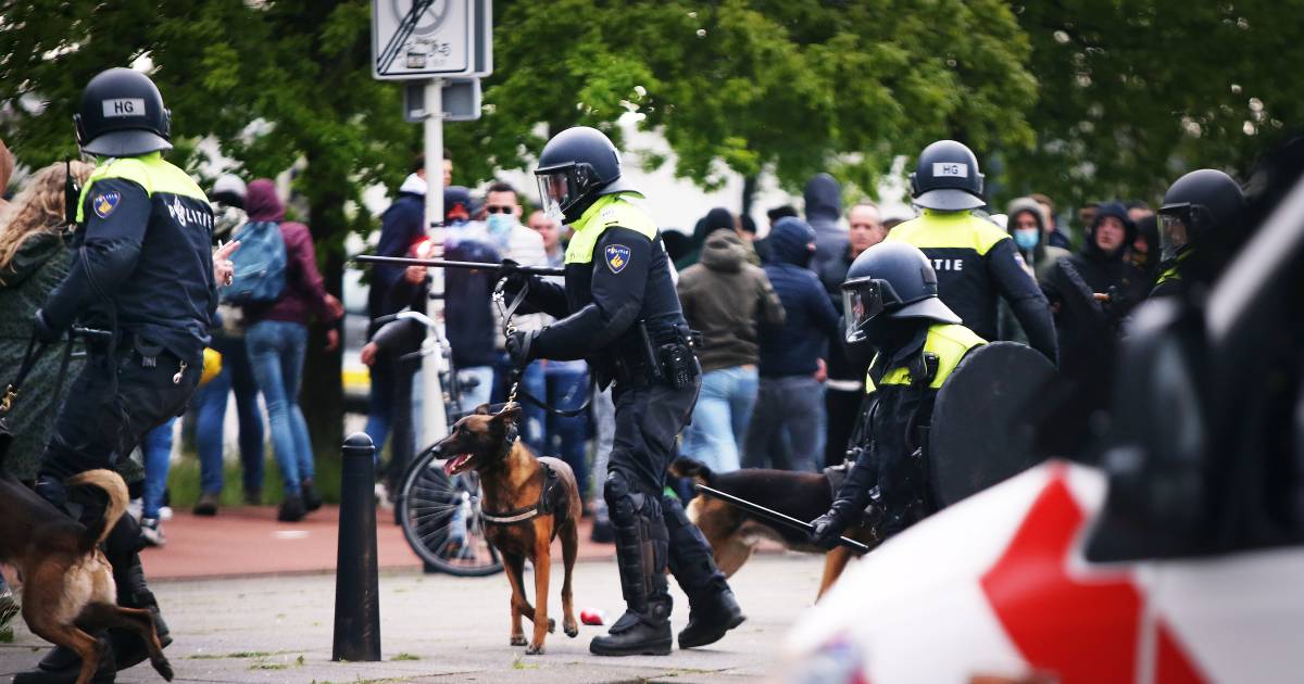 Zouden sommige supporters niet tegen verlies kunnen? .