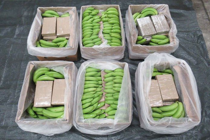 De Britse autoriteiten hebben in de haven van Southampton 5.700 kilo cocaïne onderschept in een lading bananen uit Zuid-Amerika.