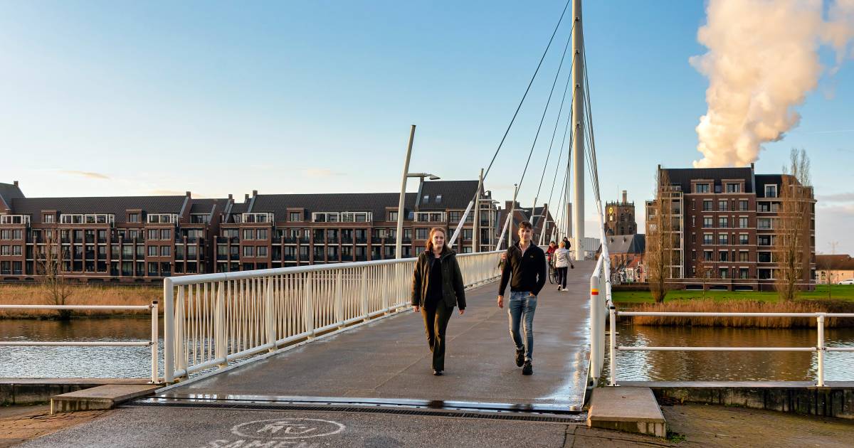 Een gedwongen huwelijk: 'Qua bestuurskracht leverde de herindeling van Geertruidenberg weinig op' - 