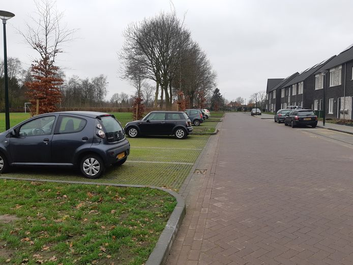 Een andere mogelijkheid om de samenleving klimaatvriendelijker te maken is het aanleggen van 'groene' parkeerplaatsen.