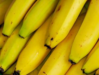Tientallen kilo’s cocaïne tussen bananen: twee mannen uit Etten-Leur en Hoogerheide betrokken bij smokkel