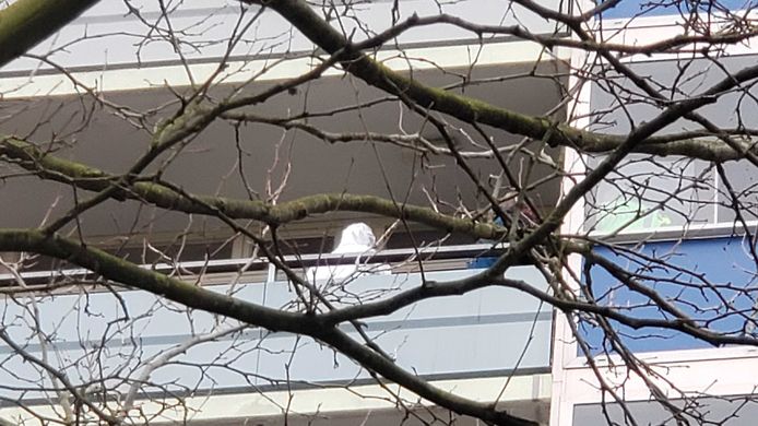 Een medewerker van de forensische recherche doet onderzoek in de Elvis Presleyflat in Zwolle.
