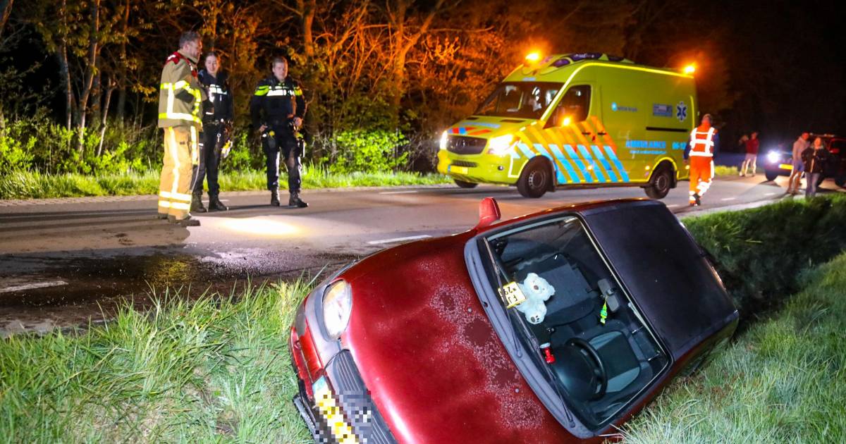 Auto belandt in de sloot na aanrijding met plots overstekende ree in Loenen: twee gewonden.