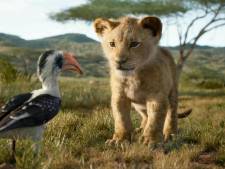 Een record voor de Lion King: binnen vier weken 2 miljoen bezoekers in Nederland