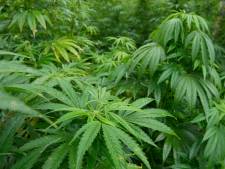 Burgemeester sluit drugspanden in Terneuzen en Sas van Gent