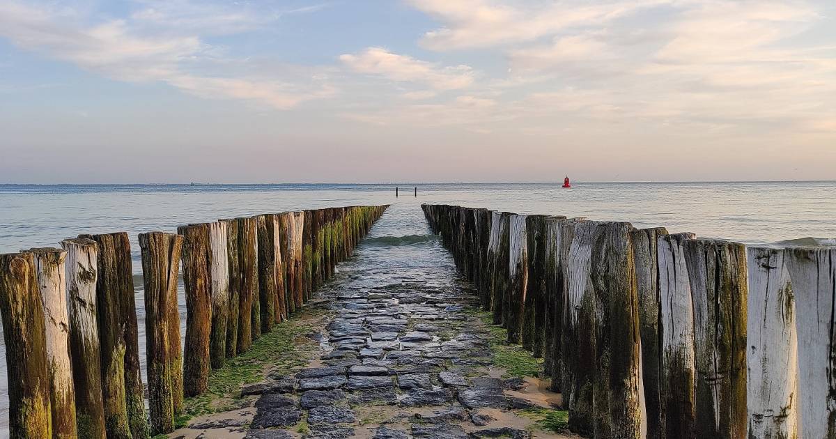 MIJN FOTO | Altijd blij om in Zoutelande te zijn