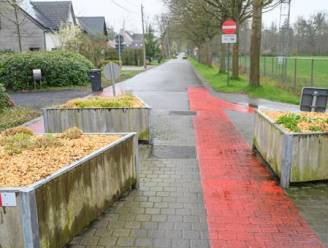 Gemeente evalueert verkeerssituatie in Oude Kasteellaan: “Baseren ons op objectieve en subjectieve metingen”