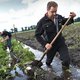 Niemand ziet de zeespiegel stijgen, maar extreem weer maakt klimaatverandering invoelbaar