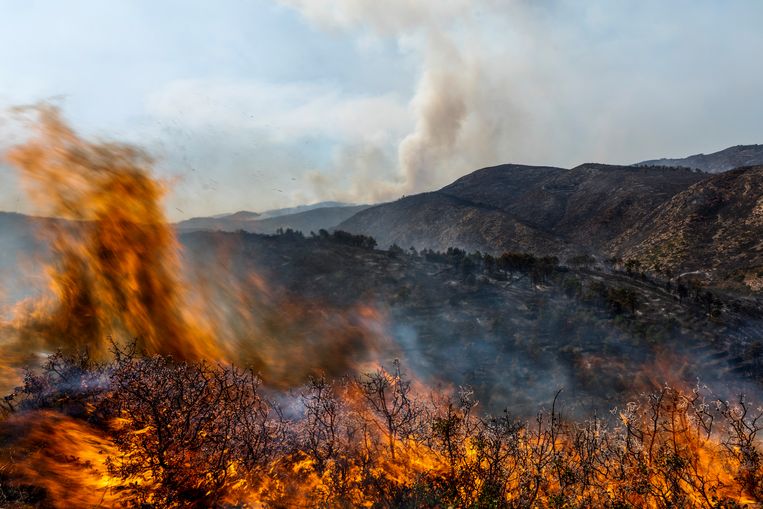 A forest fire in Spain in August.  Image access point