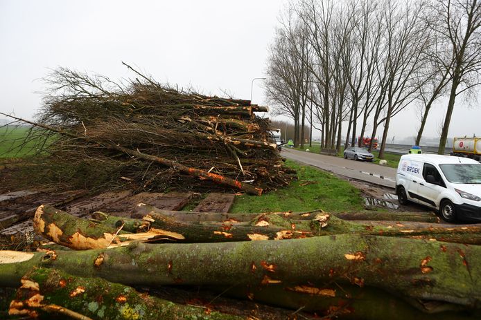 Deze week werd zeven tot acht meter van de homo-ontmoetingsplek langs de A15 gesnoeid.