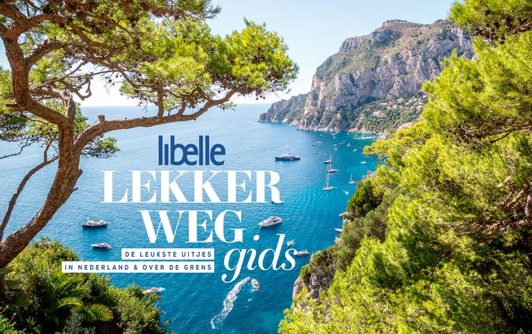 Libelle Lekker Weg Gids Beeld Shutterstock
