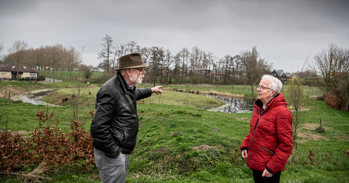 Parkje op de plek van kasteel Maasbommel? Slecht plan vindt Richard: ‘Dan sta ik in de hondenpoep’