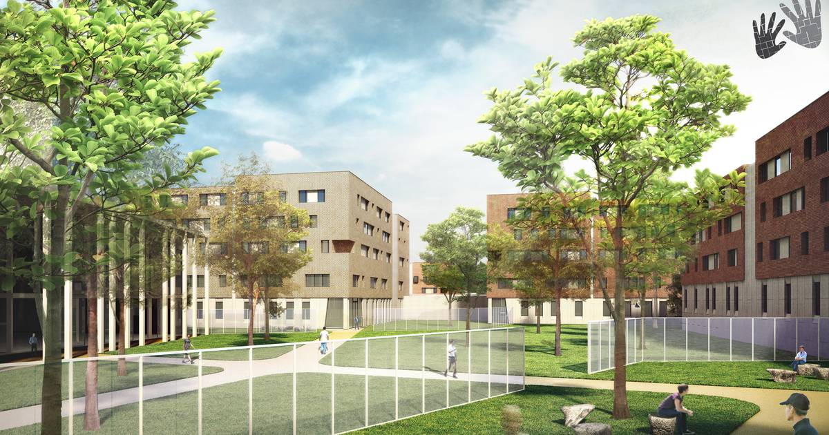Haren kost 19 miljoen als gevangenis niet gebouwd wordt | Binnenland | hln.be