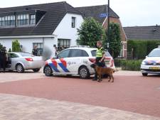 Poolse verdachte aanslag De Vries werd vorige week ook opgepakt voor dreigen met wapen 