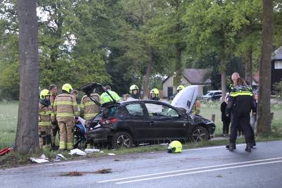 Auto botst frontaal op boom bij Ede: inzittende gewond