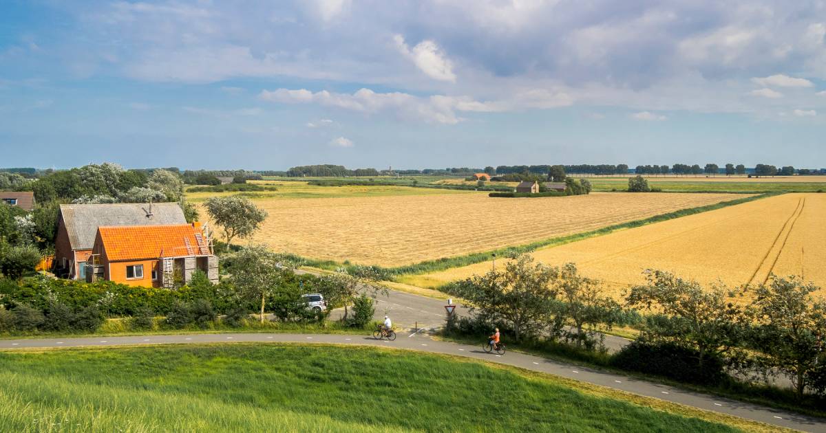 Akkerbouwer uit Groede is bang voor ‘recreatie-invasie’ op het platteland