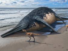 Une fillette de 11 ans découvre les fossiles du plus grand reptile marin ayant jamais existé 