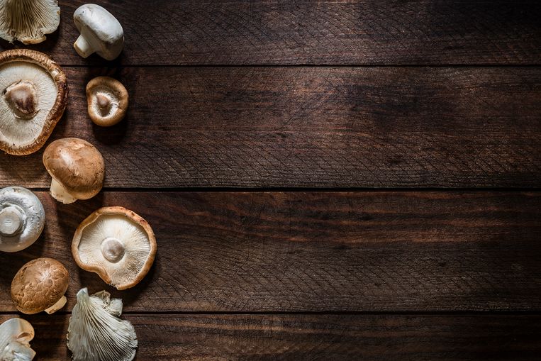 Zó weet je of je champignons nog goed of bedorven zijn Libelle