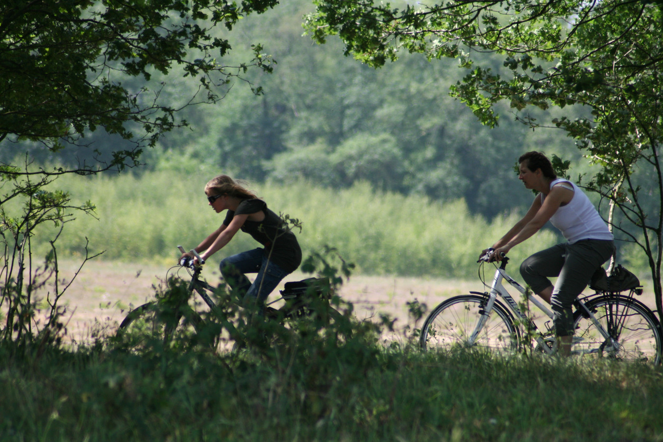 Renkum Fietst verwacht 1000 deelnemers voor ‘verbindende tocht’ door ...
