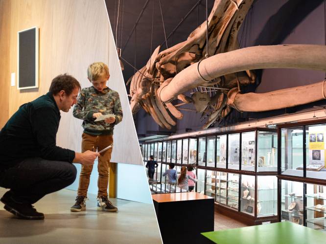 7 kindvriendelijke musea in Leuven en het Hageland: hier gaan cultuur en plezier hand in hand
