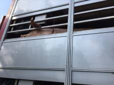 Slachterij Vion in Groenlo per direct dicht: bijna kwart personeel heeft corona