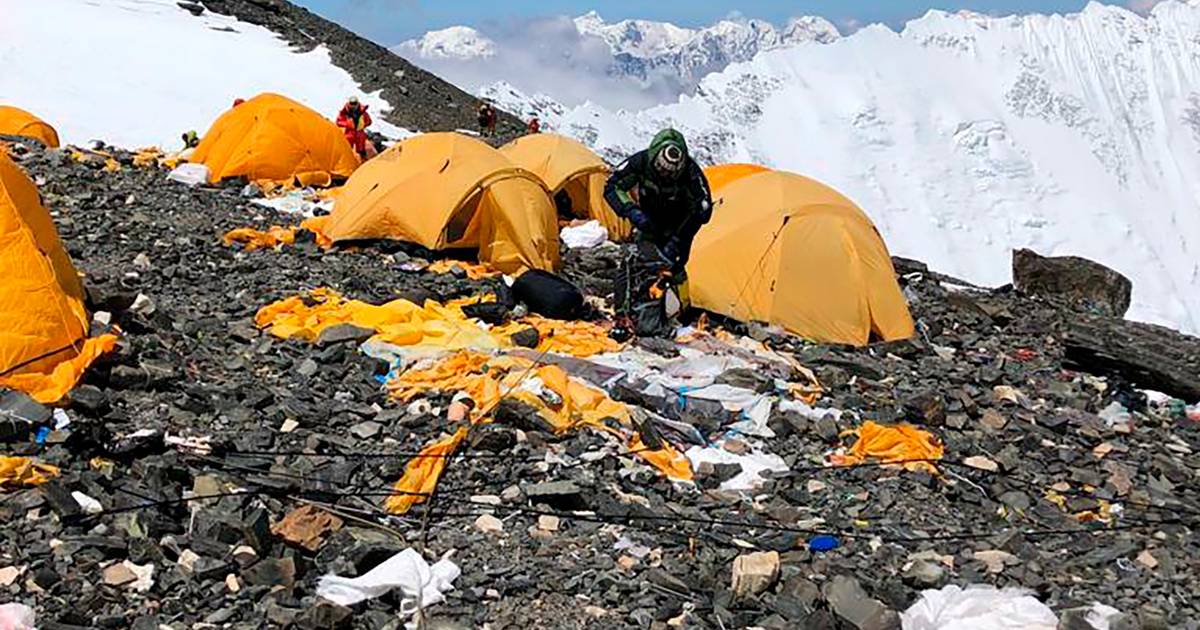 Wat hebben Rock Werchter en de