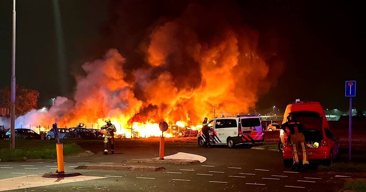 Tientallen auto's verwoest bij grote brand op parkeerterrein in Rijsenhout