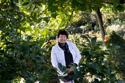 ZijActief stuurt noodbrief: ‘Het huidig bestuur zit er al dertig jaar’