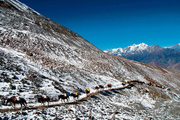 De Annapurna Trail in Nepal