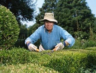 Last van de tuinomheining van je buren? Dit zijn de regels omtrent vergunning, plaatsing en onderhoud