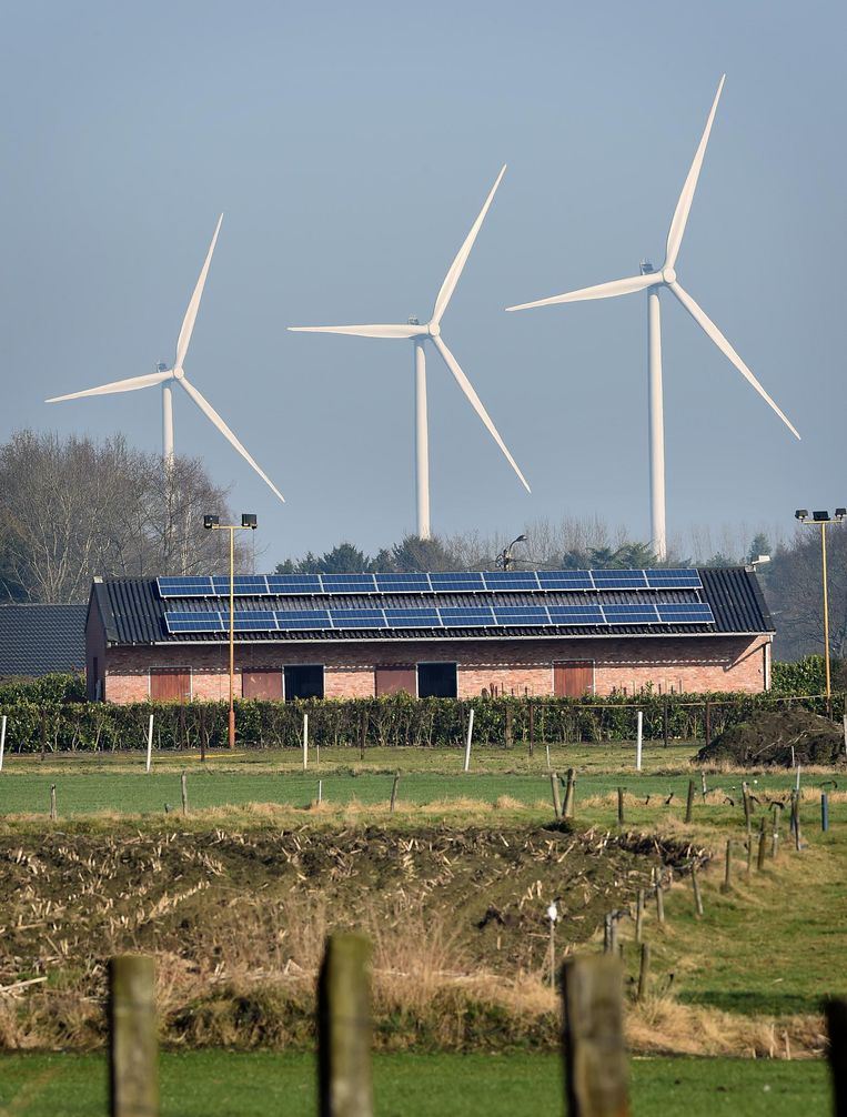 Windmolens in Hazeldonk. Beeld Marcel van den Bergh / de Volkskrant