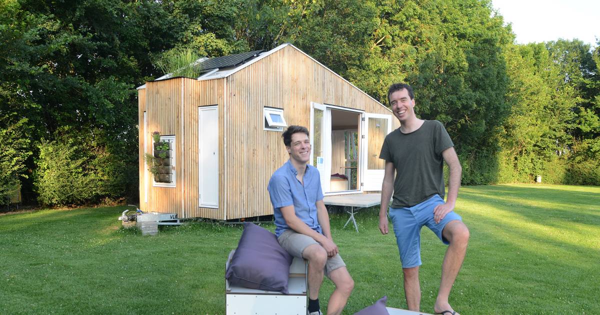 nescio en martin bouwden een superleuk tiny house van natuurlijke en afgedankte plaatselijke materialen schouwen duiveland pzc nl