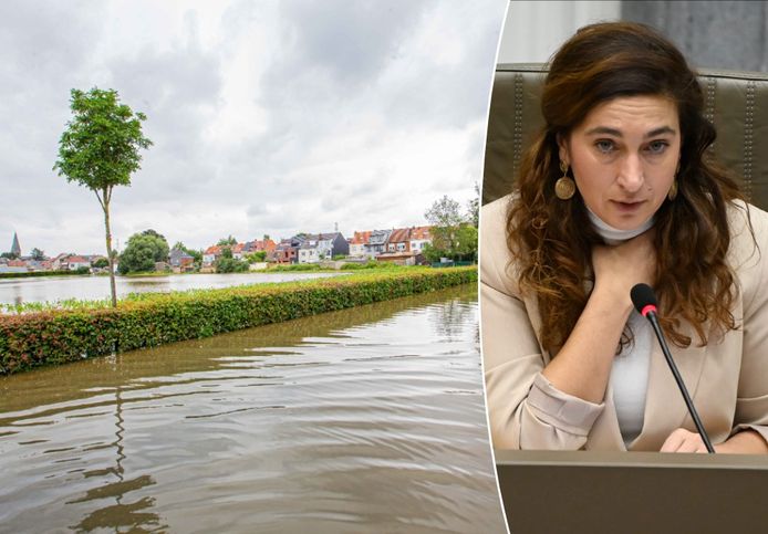 Bevoegd Vlaams minister Zuhal Demir (N-VA) gaf haar administratie na de overstromingen van vorige zomer de opdracht om systematisch in beroep te gaan tegen bouwvergunningen in overstromingsgevoelige gebieden.