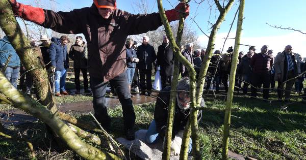 Maasheggengebied maakt zich klaar voor volgende duizend jaar - De Gelderlander