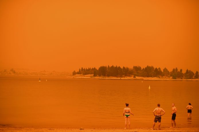 In de eerste week van januari 2020 kleurde de lucht oranje op veel plaatsen in de Australische staat New South Wales.