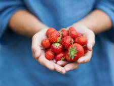 Les fraises en promo ces prochains jours