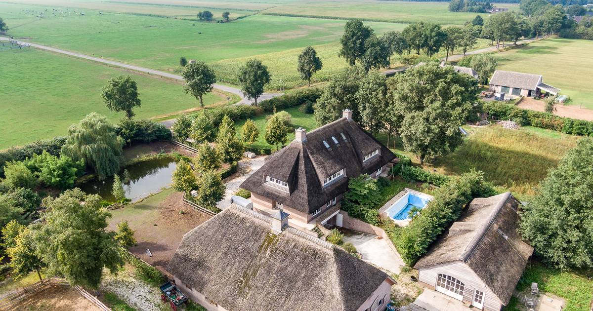 Snelle zakenman, rastafari of toch een oplichter? Wie is de man achter Dream or Donate? | Zwolle