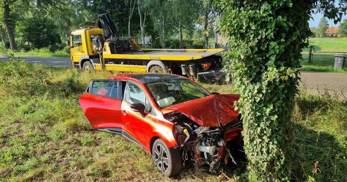 Eenzijdig ongeval in Rekken: bestuurder gewond, herdershond uit voertuig gehaald.
