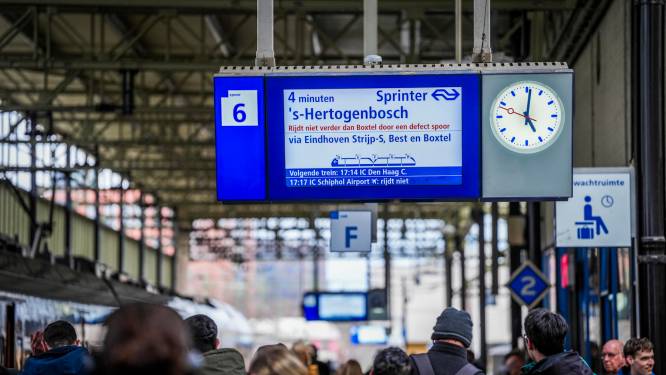 Week lang geen treinen tussen Den Bosch en Boxtel door gravende dassen, en mogelijk zelfs langer